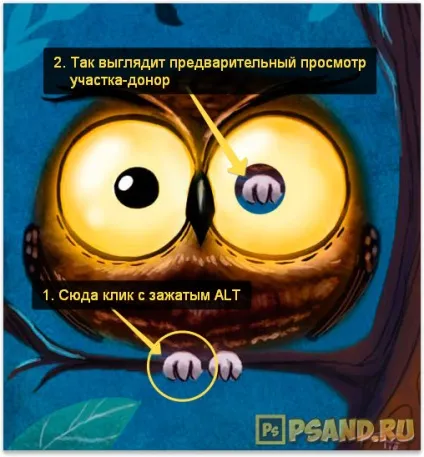 Опис інструменту - пензель відновлення - в фотошопі (опис) Опис інструменту - пензель відновлення - в фотошопі