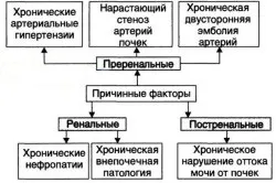 Препарати при нирковій недостатності антибіотики та інші ліки (антибіотики) Препарати при нирковій недостатності антибіотики та інші ліки