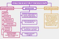 Препарати при нирковій недостатності антибіотики та інші ліки (препарати ниркової недостатності антибіотики лікування) Препарати при нирковій недостатності антибіотики та інші ліки