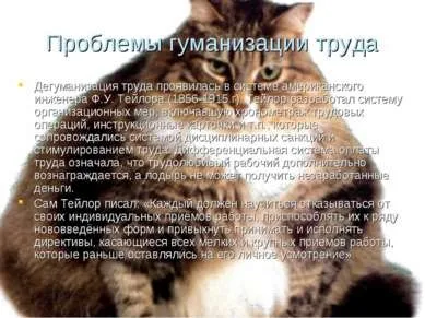 Презентація - матеріально-виробнича діяльність людини - завантажити безкоштовно (завантажити презентацію матеріально-виробнича діяльність людини) Презентація - матеріально-виробнича діяльність людини - скачати безкоштовно