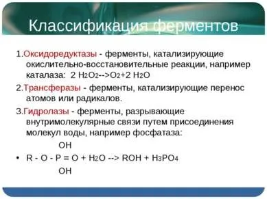 Презентація - ферменти і гормони - завантажити безкоштовно