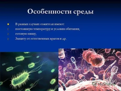 Презентація на тему організм як середовище існування біологія (організм як середовище існування біологія. Організм як середовище існування сильно відрізняються від інших середовищ. Організм як середовище існування сильно відрізняються від інших.) Презентація на тему організм як середовище існування біологія