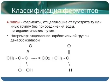 Презентація по темі ферменти і гормони