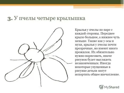 Презентація на тему поетапне малювання комах (малювання) Презентація на тему поетапне малювання комах