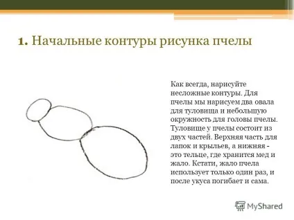 Презентація на тему поетапне малювання комах (комах) Презентація на тему поетапне малювання комах