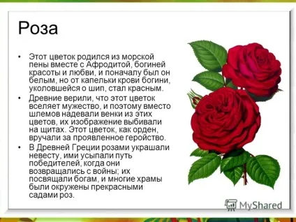 Презентація на тему легенди про садових кольорах (кольорах) Презентація на тему легенди про садових кольорах