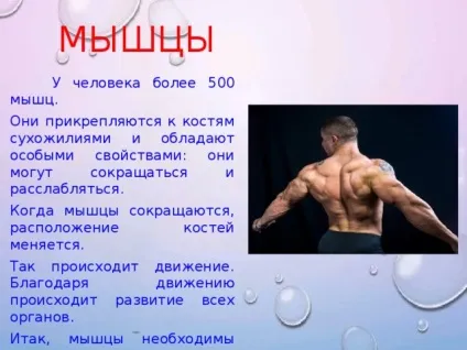 Презентація - як влаштована людина - фізкультура, презентації