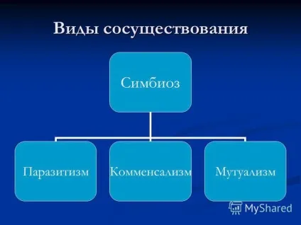 Презентація на тему організм як середовище існування біологія (тему) Презентація на тему організм як середовище існування біологія