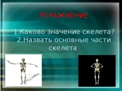 Презентація - як влаштована людина - фізкультура, презентації