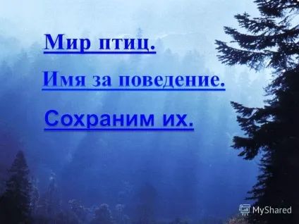 Презентація на тему вікторина - птиці - ціна питання 5 балів (Червону книгу Карелії) Презентація на тему вікторина - птиці - ціна питання 5 балів