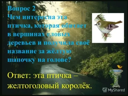 Презентація на тему вікторина - птиці - ціна питання 5 балів (Червону книгу Карелії) Презентація на тему вікторина - птиці - ціна питання 5 балів