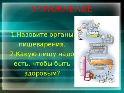 Презентація - як влаштована людина - фізкультура, презентації