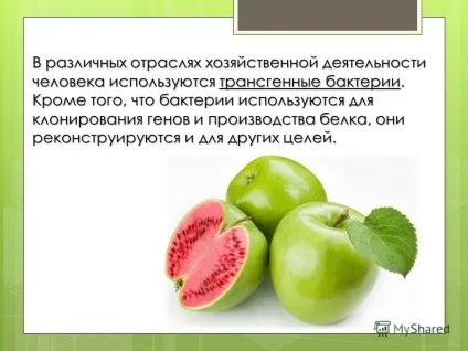 Презентація на тему трансгенний організм (створення трансгенних організмів) Презентація на тему трансгенний організм