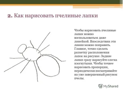 Презентація на тему поетапне малювання комах (поетапне малювання комах. Як намалювати бджолу.) Презентація на тему поетапне малювання комах