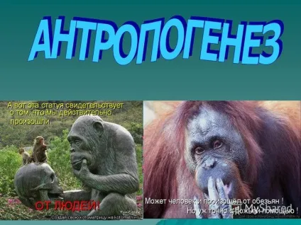 Презентація на тему історичне становлення людини як виду