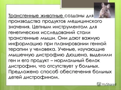 Презентація на тему трансгенний організм (білків вивчення багатьох) Презентація на тему трансгенний організм