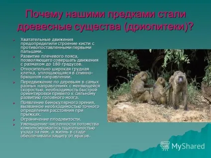 Презентація на тему історичне становлення людини як виду