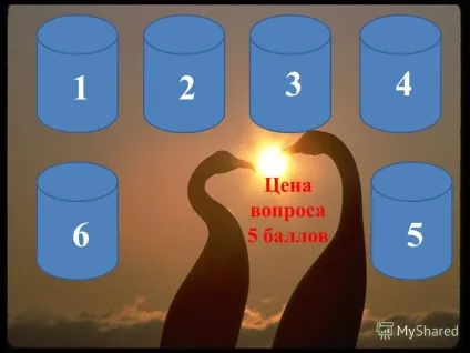Презентація на тему вікторина - птиці - ціна питання 5 балів (Червону книгу Карелії) Презентація на тему вікторина - птиці - ціна питання 5 балів