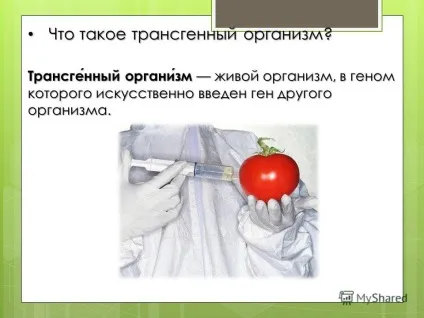 Презентація на тему трансгенний організм (створення трансгенних організмів) Презентація на тему трансгенний організм