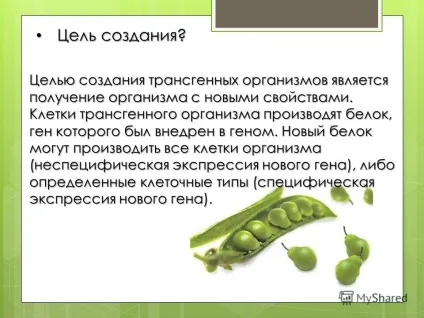 Презентація на тему трансгенний організм (організм) Презентація на тему трансгенний організм