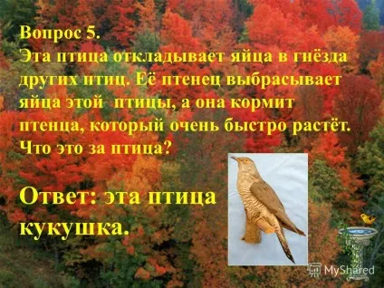 Презентація на тему вікторина - птиці - ціна питання 5 балів (вікторина «птахи». 12 34 56 ціна питання 5 балів.) Презентація на тему вікторина - птиці - ціна питання 5 балів