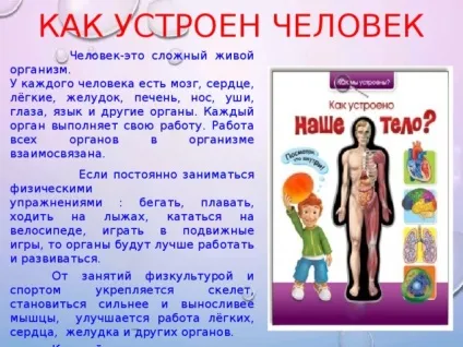 Презентація - як влаштована людина - фізкультура, презентації