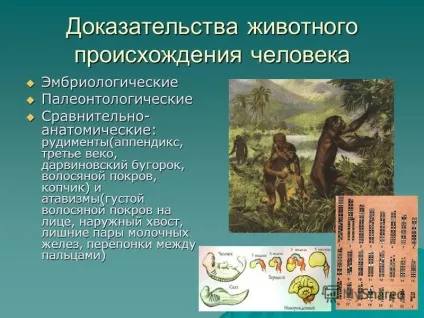 Презентація на тему історичне становлення людини як виду