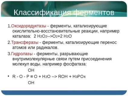 Презентація по темі ферменти і гормони