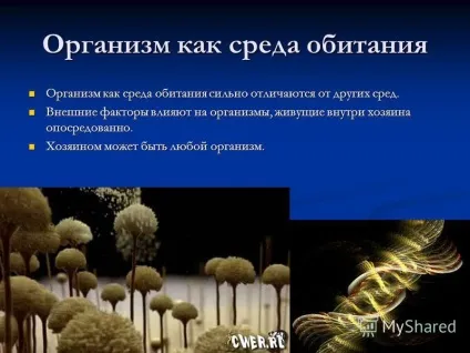 Презентація на тему організм як середовище існування біологія (організм як середовище існування біологія. Організм як середовище існування сильно відрізняються від інших середовищ. Організм як середовище існування сильно відрізняються від інших.) Презентація на тему організм як середовище існування біологія