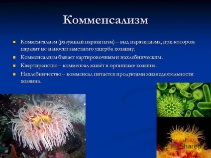 Презентація на тему організм як середовище існування біологія (організм) Презентація на тему організм як середовище існування біологія