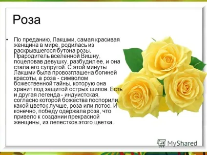 Презентація на тему легенди про садових кольорах (кольорах) Презентація на тему легенди про садових кольорах