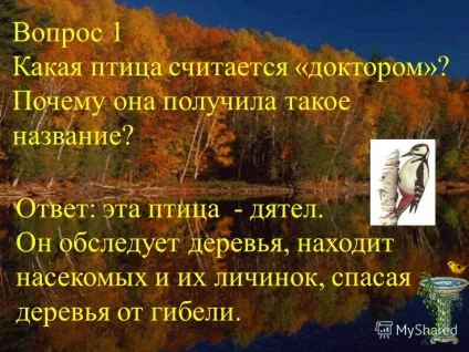 Презентація на тему вікторина - птиці - ціна питання 5 балів (птиці) Презентація на тему вікторина - птиці - ціна питання 5 балів