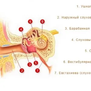 Причини отиту і його профілактика