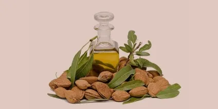 Застосування масла зародків пшениці для особи, вій, волосся і всередину (зародків) Застосування масла зародків пшениці для особи, вій, волосся і всередину