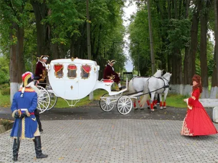 Прикольний сценарій викупу нареченої 2011