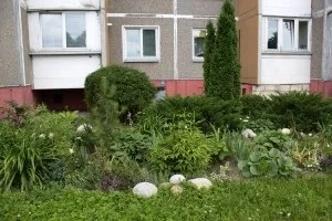 Приклад оформлення садка біля під'їзду