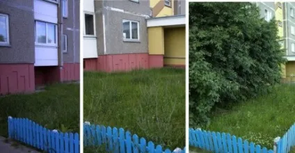 Приклад оформлення садка біля під'їзду