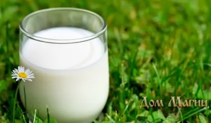 Приворот хлопця обряди за допомогою молока (приворот) Приворот хлопця обряди за допомогою молока