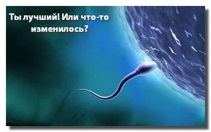 принцип сперматозоїда