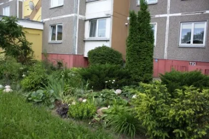 Приклад оформлення садка біля під'їзду