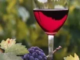 Професія піццмейкер (піццайоло) де вчитися, опис