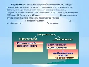 Проект з біології на тему - вітаміни, ферменти і гормони і їх роль в організмі (ферменти і гормони і їх роль в організмі. Порушення при їх нестачі і надлишку & quot;) Проект з біології на тему - вітаміни, ферменти і гормони і їх роль в організмі