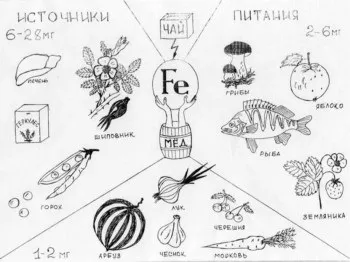 Продукти харчування, що містять залізо (містять) Продукти харчування, що містять залізо