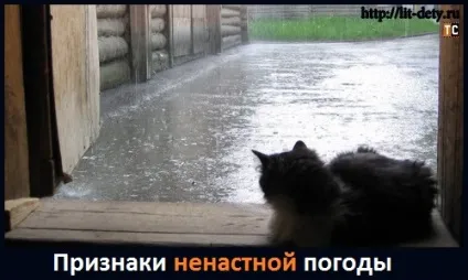 Ознаки похмурої, дощової погоди в картинках для дітей, блог Тетяни Саксон (ознаки дощової погоди) Ознаки похмурої, дощової погоди в картинках для дітей, блог Тетяни Саксон