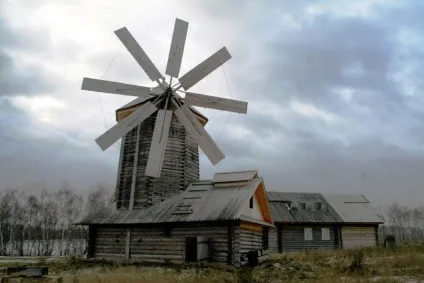 Професійний мандрівник