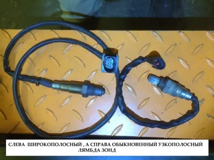 про діностенд