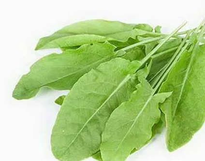 Продукти містять щавлеву кислоту список