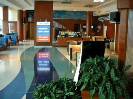 Програма привілей від Трансаеро бонуси постійним клієнтам, low cost airlines