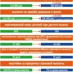Провести незалежну експертизу автомобіля (провести) Провести незалежну експертизу автомобіля