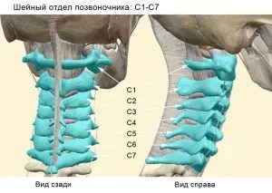 Протрузія дисків шийного відділу хребта причини, симптоми, лікування (шийний відділ хребта) Протрузія дисків шийного відділу хребта причини, симптоми, лікування